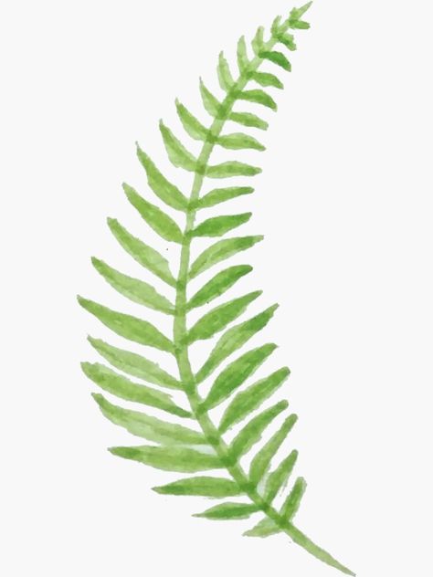 "Watercolor Fern 6" Sticker by redsforestforge | Redbubble Fern Painting Acrylic Simple, Fern Doodle, Ferns Drawing, Fern Border, Christmas Wine Bottle Crafts Diy, Fern Drawing, Fern Painting, Fern Watercolor, Batik Diy