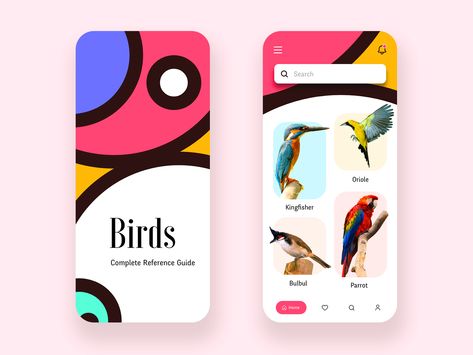 Birds Reference, Disruptive Design, Raw Design, Bird App, Programming Apps, Mobile Application Design, Mobile App Design Inspiration, Kingfisher Bird, Banking App