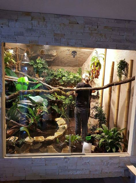 Diy Reptile, Snake Enclosure, Pets Stuff, Pet Bird Cage, Turtle Habitat, Reptile House, Reptile Room, Rabbit Cages, Pet Enclosure