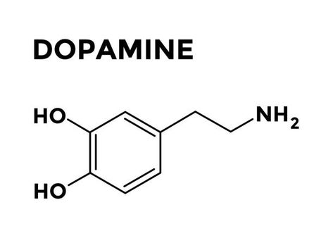 Dopamine And Serotonin Molecule, Dopamine Tattoo Simple, Dopamine Drawing, Dopamine Tattoo Ideas, Dopamine Embroidery, Dopamine Illustration, Dopamine Molecule Tattoo, Dopamine Molecule Art, Dopamine Chemical Structure