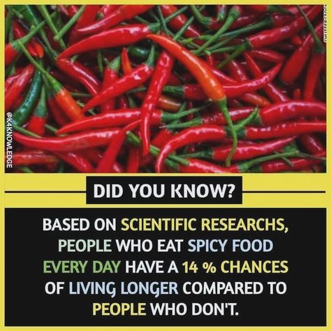 Will you eat spicy food now #viral #trending #facts #intresting #unbelievable #fact #factlover Wierd Facts, Physiological Facts, Psychological Facts Interesting, Interesting Science Facts, Facts About World, Brain Facts, True Interesting Facts, Unique Facts, Interesting Facts About World