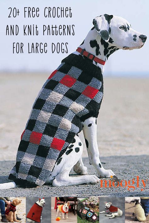 Who's got a good BIG boy (or girl)? I've shared dog-themed roundups before, but one comment I often get is the need for more patterns for bigger dogs! So today I've put together a list of free crochet and knit patterns for large dogs. Each of these patterns includes a largest size that is at least 26" around the chest! But there are usually smaller sizes too, so if your dog is smaller, be sure to click your favorites too! via @moogly Big Dog Sweaters, Crochet Dog Sweater Free Pattern, Large Dog Coats, Knitted Dog Sweater Pattern, Knitting Space, Knitting Patterns Free Dog, Large Dog Sweaters, Knitting Christmas, Dog Coat Pattern