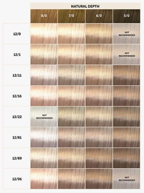 High Lift Blonde Hair Color: Your Complete Guide | Wella Professionals Ion Blonde Hair Color, Hi Lift Hair Color, Wella Nordic Blonde 12aa, 9na Hair Color, Honey Blonde Wella Formula, Wella Blonde Toner Shades, Blonde Hair Color Names, Wella Professional Color, Blond Hair Shades