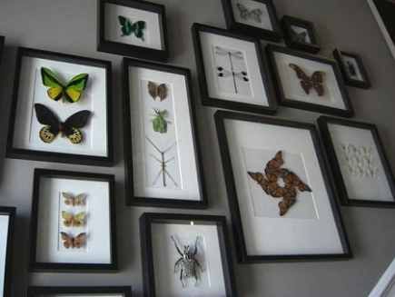 A stairway wall is a perfect spot for a butterfly collection, allowing them to be displayed without fear of direct sunlight.  Decorating with butterflies will bring beauty into your home. Taxidermy Wall Display, Butterfly Bathroom, Bug Wall, Taxidermy Decor, Butterfly Taxidermy, Insect Taxidermy, Victorian Bedroom, Insect Collection, Butterfly Pictures