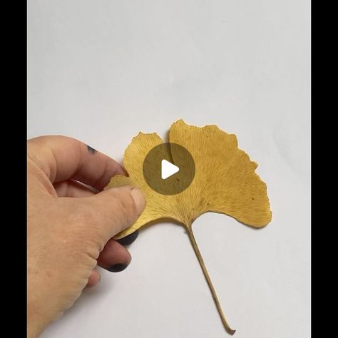 Ginkgo Leaf Cards, Ginko Leaf Crafts, Ginkgo Leaf Art, Gingko Leaf Art, Mono Printing Ideas, Ginko Leaf Design, Painting On Brown Paper, Geli Print, Ginkgo Art