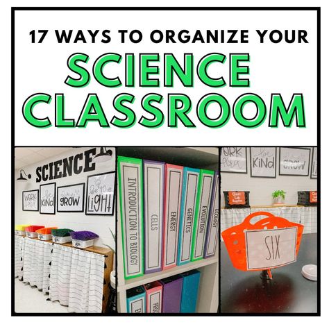 17 Ways to Organize Your Science Classroom ⋆ The Trendy Science Teacher 7th Grade Science Classroom Decorations, Science Classroom Decorations Highschool, Middle School Science Classroom Decor, Life Science Classroom, High School Science Classroom, Elementary Science Classroom, Middle School Science Classroom, Science Room, Science Classroom Decorations