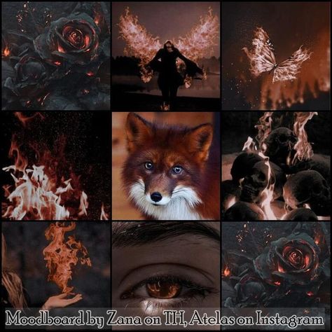 I've always loved making moodboards, so here are a few that I had fun doing. All images come from pinterest, and have a specific theme and species. They are free! use them to create your adopts or oc (no need to credit me until the signature is not removed) Fox Moodboard, Adopt Idea, Picture Boards, Free Use, Mood Board Inspiration, Wings Of Fire, Mood Board Design, Pretty Photos, Aesthetic Themes