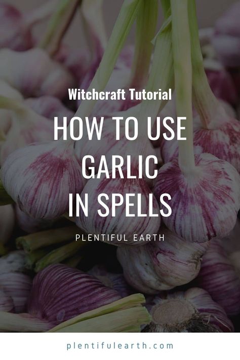 Garlic Magical Properties | Herbs For Protection » Plentiful Earth Spells With Garlic, Garlic Magical Properties, Garlic In Witchcraft, Garlic Spell, Magical Properties Of Garlic, Magical Correspondences, Herbs For Protection, Kitchen Witchcraft, Witch Kitchen