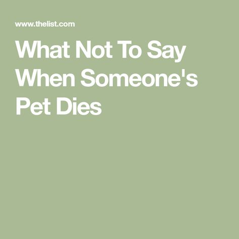 Losing A Pet Quotes, Pet Quotes, Silly Questions, What To Say, Losing A Child, Psychology Today, Medical Science, Losing A Pet, Animal Quotes