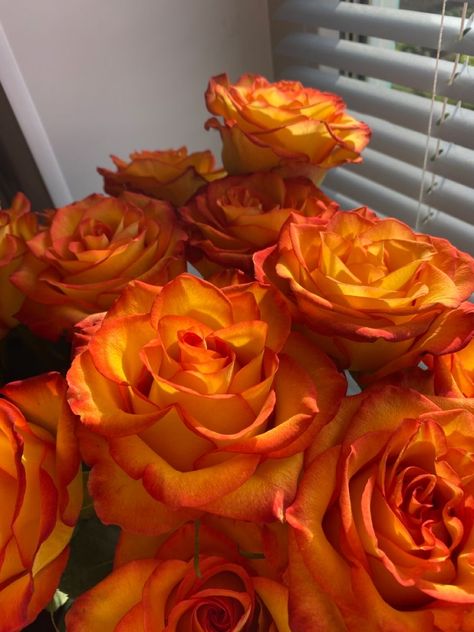 Orange Roses Bouquet Aesthetic, Orange Roses Aesthetic, Orange Flowers Aesthetic, Orange Roses Bouquet, Orange Rose Bouquet, Fleur Orange, Boquette Flowers, Nothing But Flowers, Flower Therapy