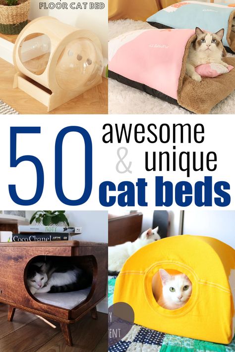 50 Awesome and Unique Cat Beds Your Cat Wants Today Unique Cat House, Make Cat Bed, Diy Pet Bed Kitty, Homemade Cat Beds Diy, Cat Beds Diy, Cat Room Ideas Diy, Diy Cat Beds, Diy Cat Bed Ideas, Diy Bed Ideas