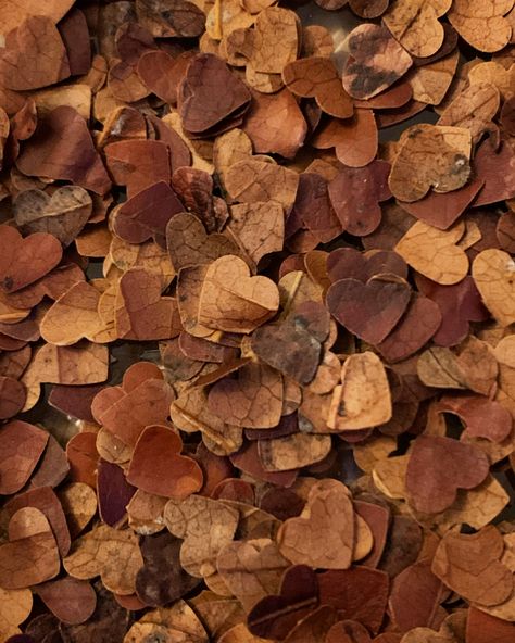 Biodegradable confetti stamped from dead leaves, nothing wasted. Fall Leaf Confetti, Fall Wedding Confetti, Leaf Confetti Wedding Leaves, Fall Wedding Leaves, Leaves Confetti, Palette Aesthetic, Spooky Wedding, Orange Confetti, Autumn Confetti