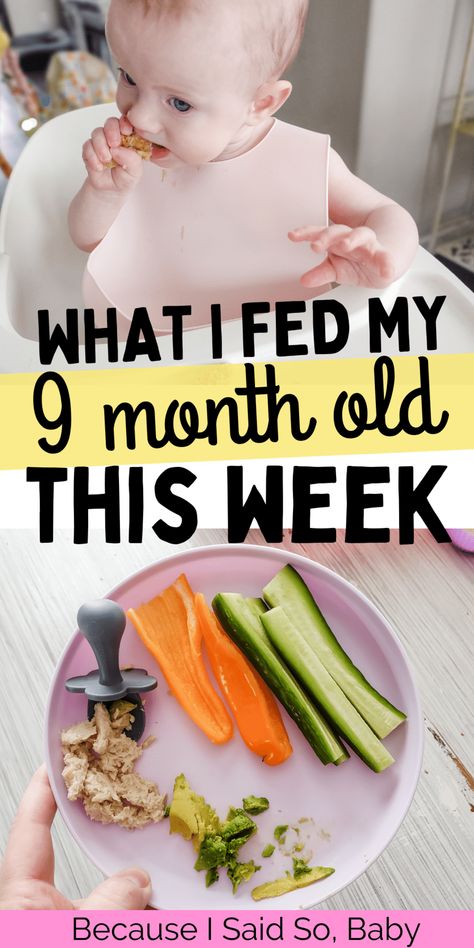 9month Baby Food Meal Ideas, Dinner Ideas For 9 Month Old, 9 Month Old Food Schedule, 9 Month Old Daycare Food, 9month Old Lunch Ideas, 8 Month Old Meal Ideas Blw, Meal Prep For 9 Month Old Baby, 9 Month Meal Ideas, Blw Ideas 9 Months