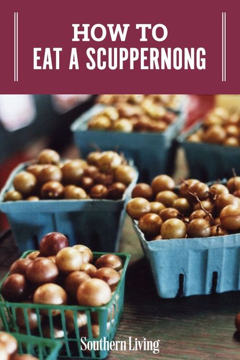 Scuppernong Wine Recipe, Scuppernong Jam, Scuppernong Recipes, Fruit Tartlets, White Grapes, Grape Uses, Grape Recipes, Dry Wine, Best Peanut Butter