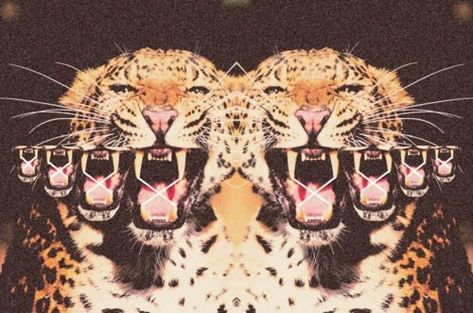 Psy Art, Wallpaper Tumblr, Leopards, Artsy Fartsy, Art Inspo, Banners, Mood Board, Vision Board, Iphone Wallpaper