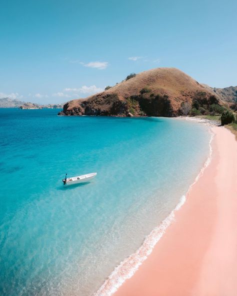 Pink Beach, Komodo National Park, Flores Island, Indonesia.   The Komodo National Park cruises & adventures by Hello Flores will be your ultimate travel experience and a great Komodo & Flores island tour! Explore Flores and the UNESCO world heritage with a liveaboard from Labuan Bajo, which offer unique cruising, trekking and diving experience beyond expectations! Book your trip with Hello Flores www.helloflores.com  Photo credit: @emmett_sparling Pink Beaches, Komodo National Park, Komodo Island, Gili Trawangan, Labuan, Big Island Hawaii, Pink Beach, Island Tour, Komodo