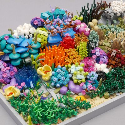 Lego Underwater Moc, Lego Coral Reef, Lego Underwater, Lego Ocean, Lego Fish, Lego Zoo, Cake Lego, Instructions Lego, Lego Challenge