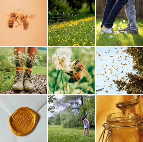 Honey and the Bee, Owl City, moodboard, aesthetic, my edits, All Things Bright and Beautiful All Things Bright And Beautiful, Music Collage, Owl City, Moodboard Aesthetic, Bright And Beautiful, Mood Board Design, The Bee, Cartoon Character Design, Aesthetic Collage