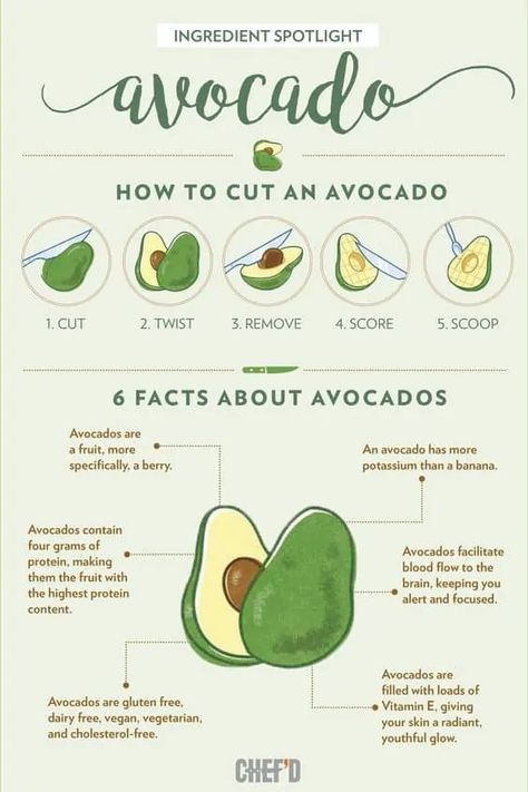 6 Surprising Facts About Avocados [Infographic] | Daily Infographic Avocado Infographic, Food Infographic Design, Avocado Facts, Infographic Examples, How To Cut Avocado, Infographic Ideas, Infographic Layout, Infographic Inspiration, Food Infographic