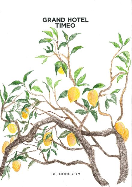 Eureka lemon tree