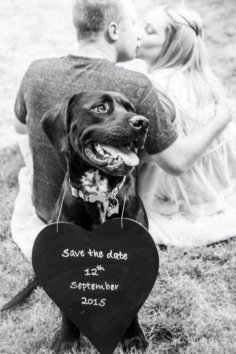 Save The Date Pictures, Wedding Invitations With Pictures, Wedding Engagement Pictures, Engagement Pictures Poses, Trendy Wedding Invitations, Save The Date Photos, Future Wedding Plans, Engagement Announcement, Engagement Photo Poses