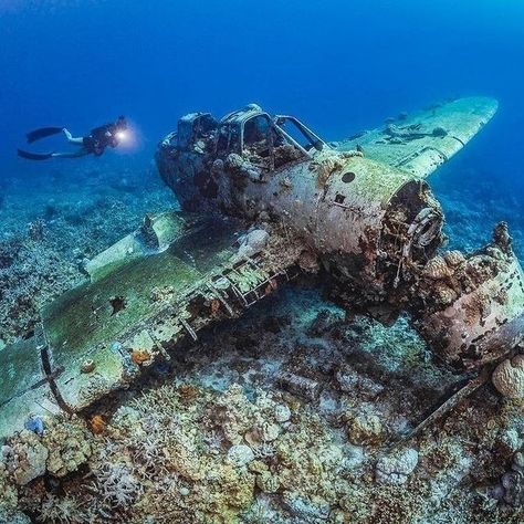 Underwater Shipwreck, Underwater Drawing, Underwater Ruins, Sunken City, Fauna Marina, Underwater Photos, Underwater Photography, Shipwreck, Beautiful Places To Travel