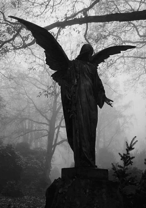 The Dark One Aesthetic, Spellcasting Aesthetic, Creepy Goth Aesthetic, Old Gothic Aesthetic, Gargoyle Aesthetic Dark, Goth Aesthetic Photos, White Gothic Room, Princess Dark Aesthetic, Gargoyle Photography