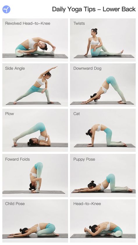 Feel pain in your low back after a busy workday?  Try these poses to get stretch in the low back. Yoga For Losing Weight Fat Burning, Evening Yoga Routine, Winter Exercise, Easy Yoga For Beginners, Free Yoga Workouts, Hata Yoga, Evening Yoga, Morning Yoga Flow, Fat Burning Yoga