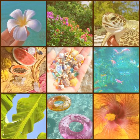 Tropical Moodboard, Adopt Idea, Coconut Dream, Writing Art, Mood Board Inspiration, Mood Board Design, Aesthetic Themes, Aesthetic Collage, Tropical Vibes