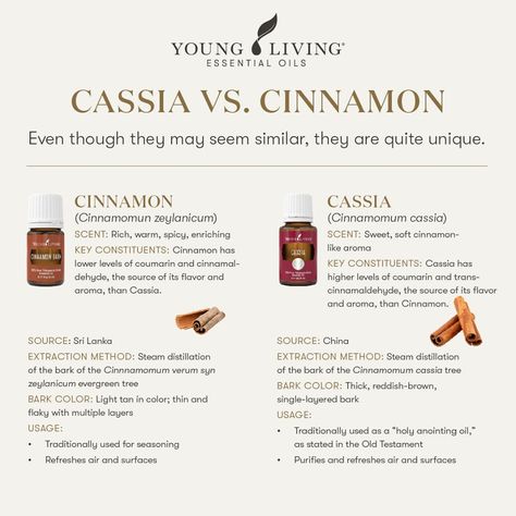 Young Living Essential Oils:  Cassia vs. Cinnamon Yoga Day Posters, Essential Oil For Sunburn, Essential Oils For Fleas, Women Fitness Outfits, Oils For Cough, Aesthetic Working, Cassia Essential Oil, Poses For Two People, Essential Oils For Cough