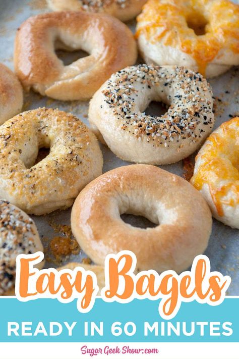 Homemade Bagel Recipe, How To Make Bagels, Bagel Recipe Easy, Whole Wheat Bagel, Everything Bagels, Sugar Geek, Bagel Toppings, Homemade Bagels, Bagel Recipe