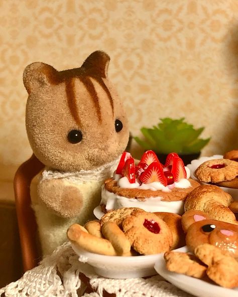 Me he vuelto adicta a esta chiquitín adorable. ₊˚ʚ 🍰🌱Aún no se qué nombre ponerle, ¿alguna idea? ₊˚✧ﾟ. . . . #sylvanianfamilies #sylvanianfamily #ternurines #sylvanianphotography #sylvanianfamilies_es #miniature #miniaturefood #kawaii #sylvanianfamiliescollection #sylvanianfamiliesfood Critters 3, Calico Critters Families, Brat Doll, Sylvanian Family, Bear Bear, Rabbit Dolls, Calico Critters, Little Critter, Sylvanian Families