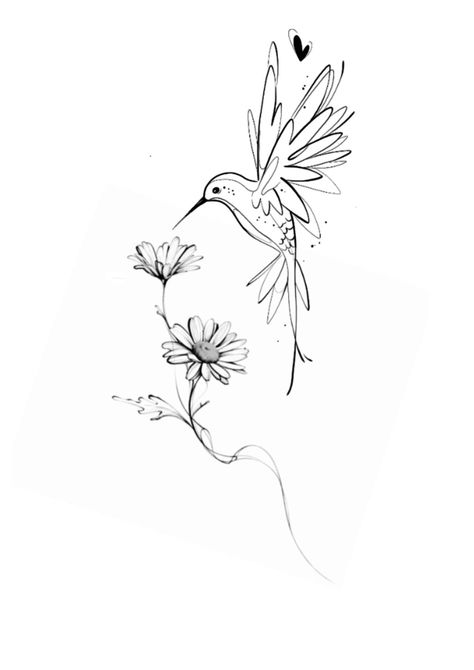 Daisy And Hummingbird Tattoo, Hummingbird Daisy Tattoo, Hummingbird Fineline Tattoo, Hummingbird Line Art, Hummingbird Back Tattoo, Hummingbird Memorial Tattoo, Floral Hummingbird Tattoo, Black And White Hummingbird Tattoo, Hummingbird Line Drawing