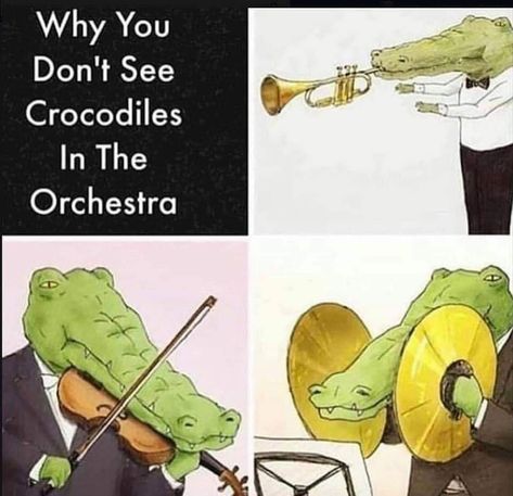 Why you don't see crocodiles in the orchestra. Musician Jokes, Musician Humor, Band Jokes, Music Jokes, Band Nerd, Music Nerd, Band Geek, Band Kid, Band Humor