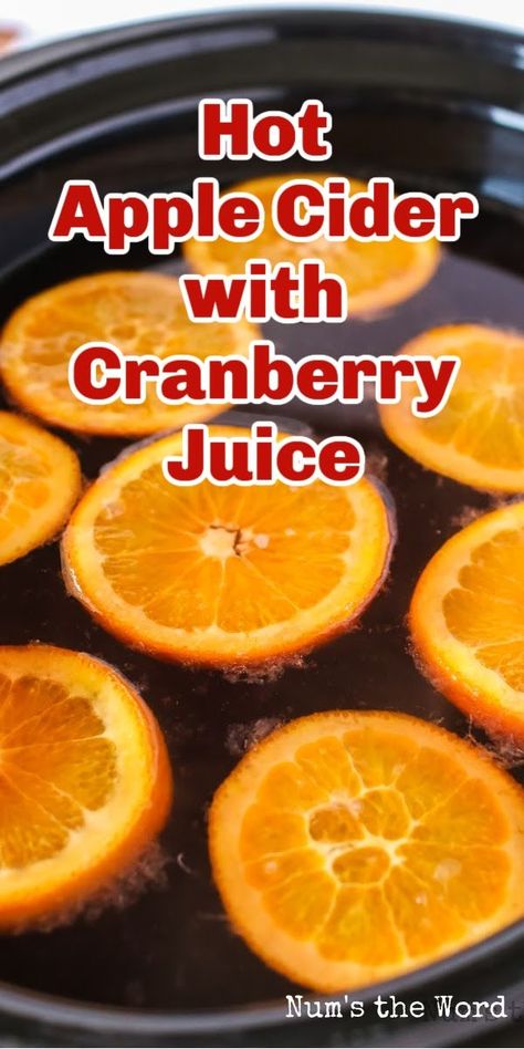 Cranberry Cider Recipe, Hot Cider Recipes, Cranberry Apple Cider, Apple Cidar, Hot Apple Cider Recipe, Christmas Cider, Apple Cider Punch, Cranberry Cider, Apple Cider Drink