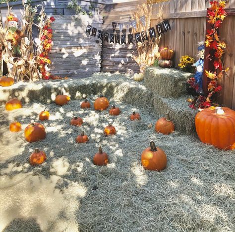 Pumpkin Patch Set Up Ideas, Pumpkin Patch At Home, Diy Pumpkin Patch, Patch Birthday Party, Pumpkin Patch Birthday Party, Pumpkin Patch Birthday, Pumpkin Patch Party, Pumpkin First Birthday, Fall Birthday Parties