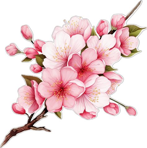 Cherry Blossom Png, Fabric Colour Painting, Sakura Cherry Blossom, Clip Arts, Creative Poster Design, Cute Cats And Kittens, Creative Posters, Natural Forms, Flower Tattoos