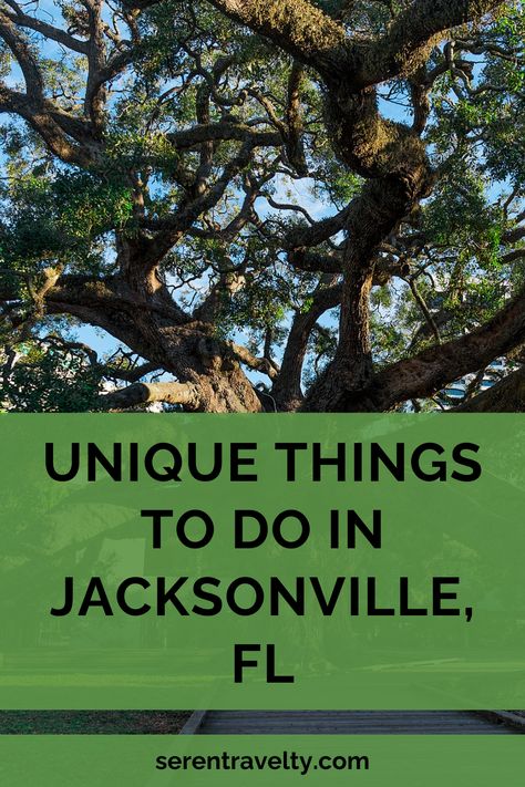 Welcome to Jacksonville, Florida, (Duuuuval, as the natives would say), where adventure, culture, and relaxation come together! In this guide, we will explore the best free things this vibrant city has to offer. Jacksonville, known as the “River City,” is situated along Florida’s northeast coast and boasts a rich history, stunning natural beauty, and a thriving arts scene. Best Places To Eat In Jacksonville Fl, Things To Do Near Jacksonville Florida, Things To Do In Jacksonville Florida, Florida Jacksonville, Florida Vacation Spots, Famous Trees, River City, Jacksonville Beach, Atlantic Beach