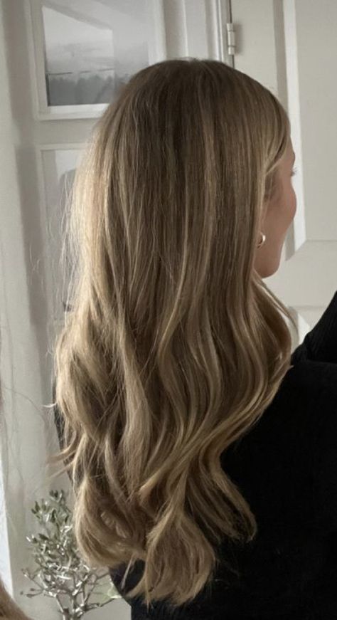 Light Honey Brown Hair, Honey Caramel Highlights, Summer Blonde Balayage, Light Brown Hair Colors, Highlights Blond, Light Honey Brown, Brown Hair Styles, Honey Brown Hair Color, Brown Hair Inspiration