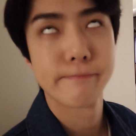 Exo Funny Moments, Exo Funny, Exotic Animals, Pop Lyrics, Exo Memes, Exo Sehun, Oh Sehun, Funny Cat Pictures, Meme Faces