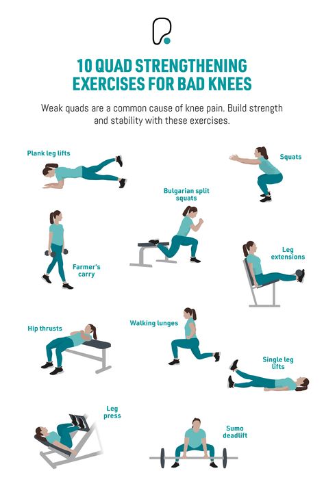 Infographic of 10 exercises that help to build quad strength Quad Strengthening Exercises, Exercises For Bad Knees, Quad Strengthening, Bad Knee Workout, Knee Strength, Weak Knees, Calf Cramps, Knee Strengthening Exercises, How To Strengthen Knees