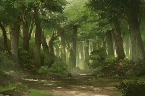 Dnd Backgrounds, Forest Drawing, Forest Mural, Bg Design, Forest Background, Forest Illustration, Background Drawing, Fantasy Forest, Forest Art