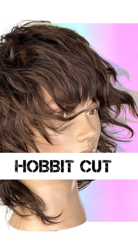 Roger molina | The Hobbit Cut Stop motion haircut tutorial. • Technical breakdown • BACK\NAPE Take a center section from round to center back. Elevate... | Instagram Hobbit Cut, Zig Zag Part, Texture Spray, Haircut Tutorial, Diagonal Line, Texturizing Spray, Shag Haircut, Hair Dresser, Blow Dryer