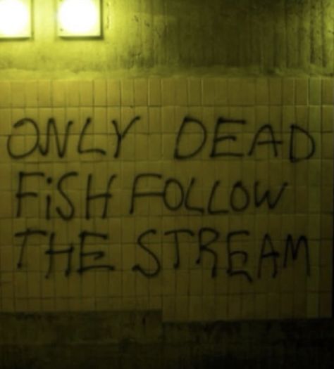 Punk Quotes, Graffiti Quotes, Street Quotes, Dead Fish, Mockingjay, Deep Thought Quotes, A Sign, Quote Aesthetic, Pretty Words