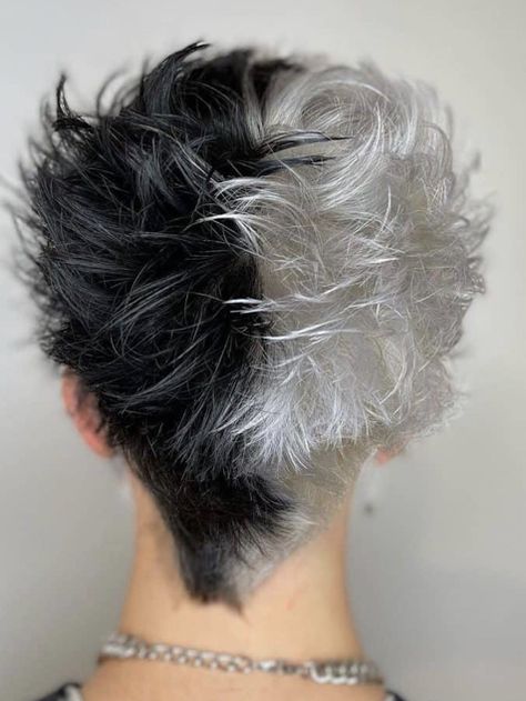 Male Split Dye Hair, Half Blonde Half Black Hair Men, Half Black Half White Hair Men, Half Dyed Hair Men, Half Black And Blonde Hair, Blonde Hair Color Ideas Men, Skunk Stripe Hair Men, Split Dyed Hair Men, Men Hair Color Ideas