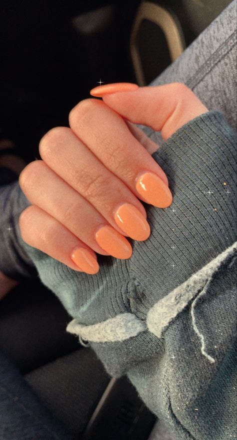 Short Rounded Acrylic Nails, Squoval Acrylic Nails, Rounded Acrylic Nails, Orange Acrylic Nails, Peach Nails, Plain Nails, Almond Acrylic Nails, Cute Gel Nails, Round Nails