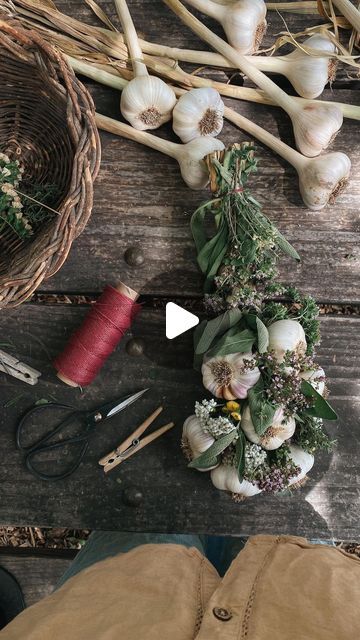 Herbal Academy on Instagram: "✨Garlic braids✨

Garlic harvest season may now be past us, but with planting season coming up soon, we had to share this beautiful herbal craft inspiration by @perennialhomestead!

Not only that, but an ode to garlic is in order: this immune system stimulant, diaphoretic, expectorant, and antimicrobial herb can support the body’s response to respiratory conditions during cold and flu season. Garlic can ease some of the discomforts of a cold through its anti-inflammatory action, as well as shorten its duration by stimulating the immune system, thinning mucus, and throwing off a fever. So much to love about this kitchen essential!

Here’s how to make an herbaceous braid with soft neck garlic, by Ali and Scott:

“Braiding garlic is not only beautiful, it is funct Wild Garlic Plant, Braiding Garlic, Drying Garlic, Garlic Braid, Harvesting Garlic, Plant Benefits, Herbs And Flowers, Wild Garlic, Garden Harvest