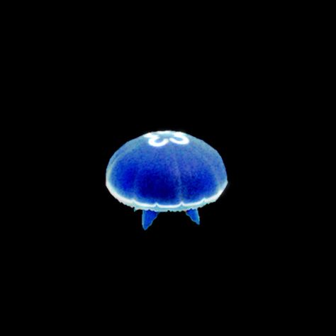 Blue Aesthetic Dark, Fish Icon, Dark Blue Wallpaper, Blue Jellyfish, Jellyfish Art, Star Ocean, Blue Wallpaper Iphone, Insta Icon, Beautiful Sea Creatures