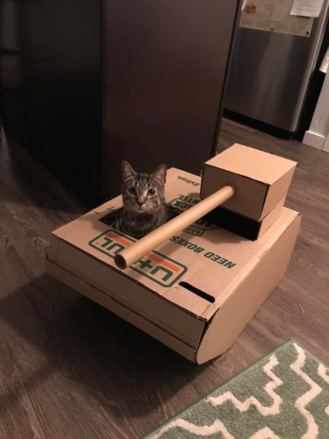 DIY: Fun and Easy Way to Build a Cardboard Cat House - Moving Insider Cat House Diy Cardboard, Hilarious Animals, Cardboard Cat House, Cat Castle, Cat House Diy, Diy Cat Toys, Funny Pigs, Cat Tanks, Animals Pictures