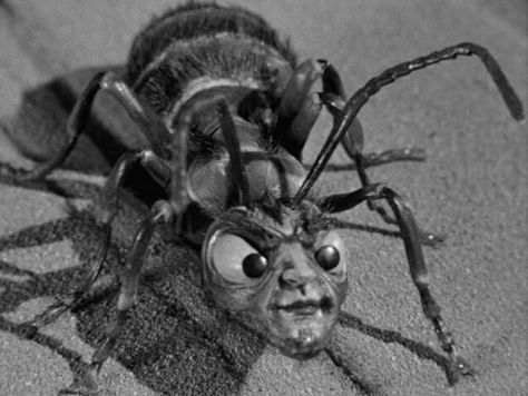 The Outer Limits "Zanti Misfit" Bruce Dern, Horror Classics, The Outer Limits, Monster Movies, Outer Limits, Night Gallery, Sci Fi Tv, Classic Sci Fi, Motion Animation